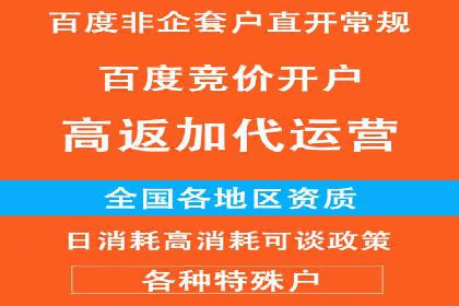 百度竞价运营技巧深度解析